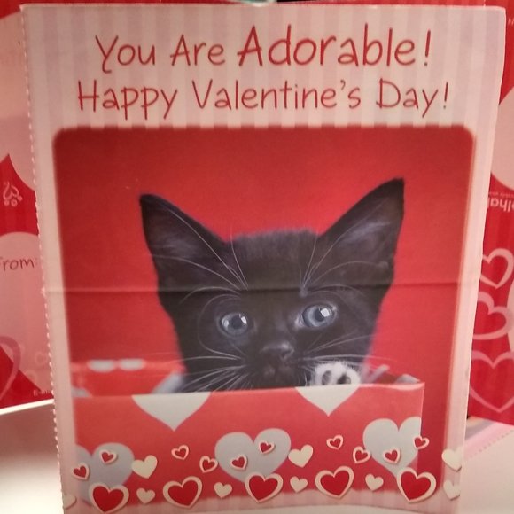 Valentine's Day Cards by Rachael Hale   Crowned Kitty Collection Box - Picture 2 of 15